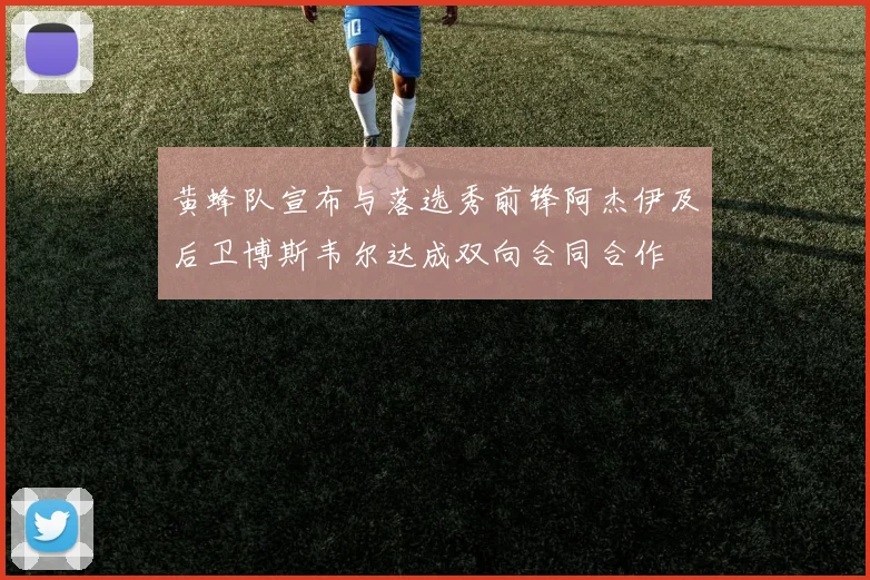黄蜂队宣布与落选秀前锋阿杰伊及后卫博斯韦尔达成双向合同合作
